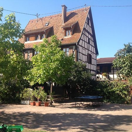 Gites la Cour Zaepffel Dambach Exterior foto