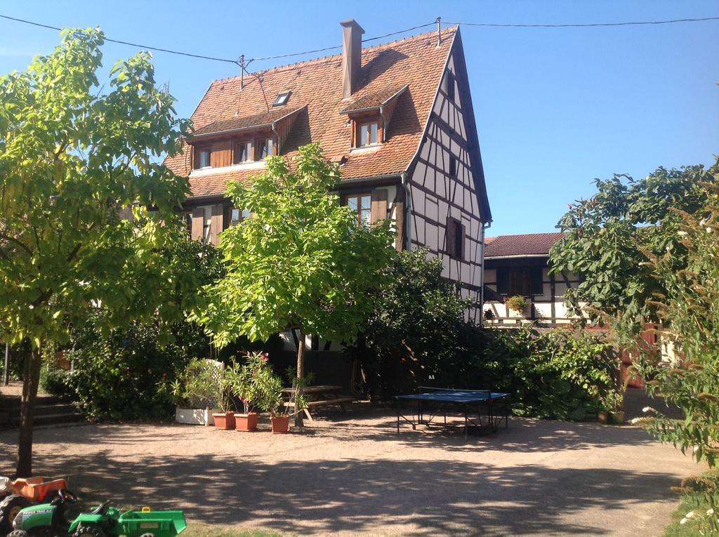 Gites la Cour Zaepffel Dambach Exterior foto